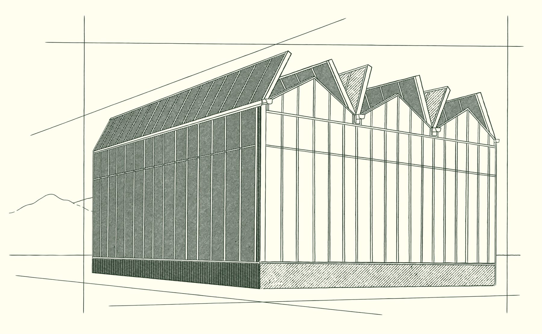 A line drawing of a large industrial-style building with a sawtooth roof and tall vertical panels, viewed at an angle. Geometric guidelines and a faint outline of a mountain are visible in the background. - Van Wingerden Commercial Greenhouses