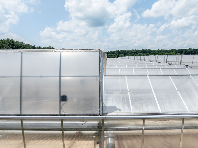 Rows of greenhouses with transparent and semi-transparent roofs are shown under a partly cloudy sky, with trees visible in the background. - Van Wingerden Commercial Greenhouses