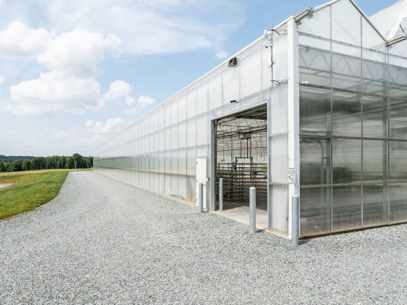 A large, modern greenhouse with transparent walls and a partially open door stands on a gravel path, surrounded by green grass under a partly cloudy sky. - Van Wingerden Commercial Greenhouses