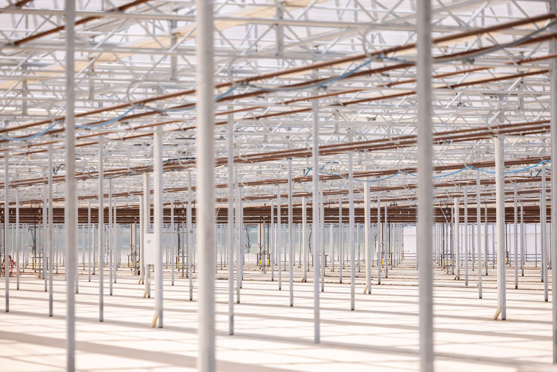 Rows of evenly spaced metal poles support the roof of a large, empty greenhouse with a translucent ceiling—designed by a leading commercial greenhouse manufacturer—to let in natural light and cast shadows on the white floor. - Van Wingerden Commercial Greenhouses
