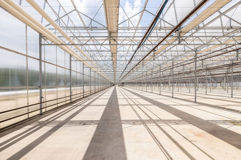 Interior view of a large, empty greenhouse structure with glass walls and ceiling, exposed metal beams, and concrete floor. Sunlight creates shadows, and the space appears bright and spacious. - Van Wingerden Commercial Greenhouses