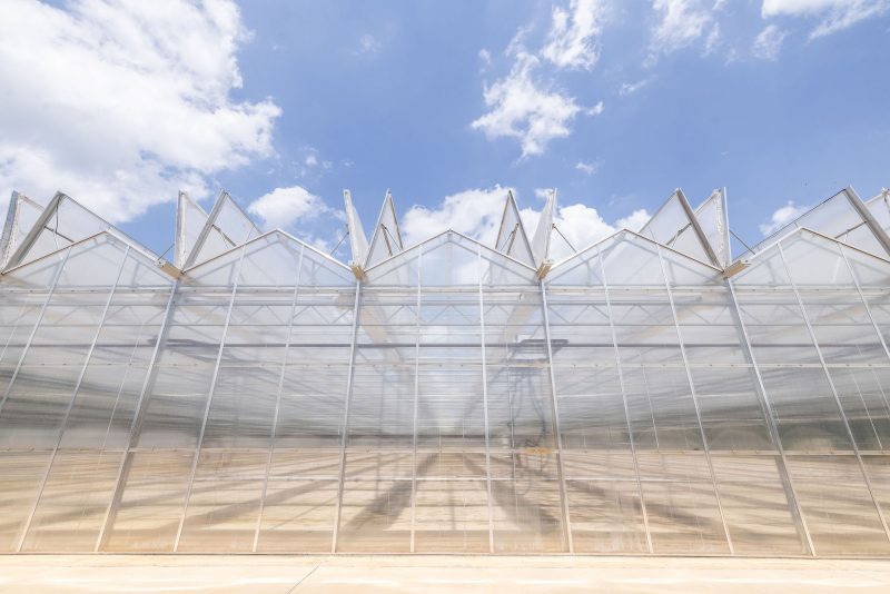 A large modern greenhouse with transparent glass walls and angular roof panels is shown under a bright blue sky with scattered clouds. The structure appears empty and sunlight is reflecting off its surfaces. - Van Wingerden Commercial Greenhouses