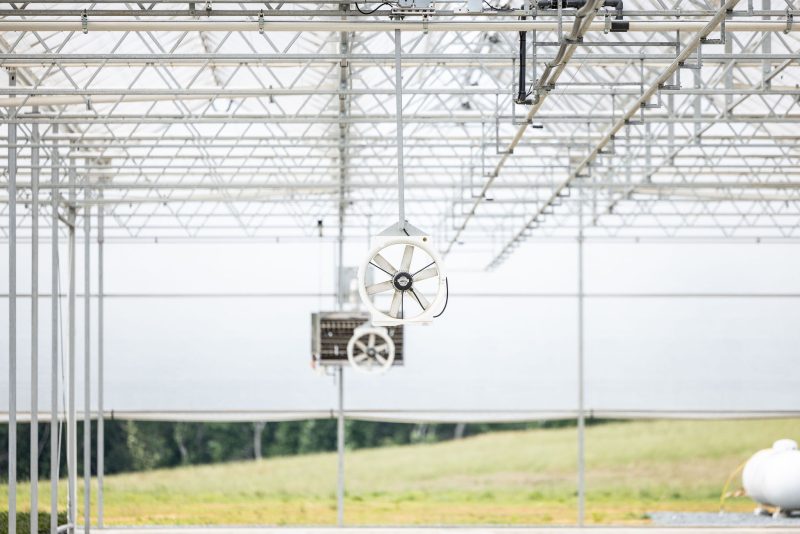 A large industrial fan with a metal frame is suspended from the ceiling structure of a greenhouse or similar open building, with grassy fields and trees visible in the background. - Van Wingerden Commercial Greenhouses