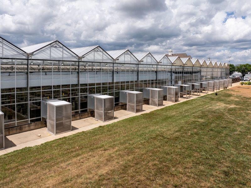 A row of greenhouses with glass walls and roofs, each unit having a large metal air conditioning or ventilation unit outside, set beside a grassy area under a partly cloudy sky. - Van Wingerden Commercial Greenhouses