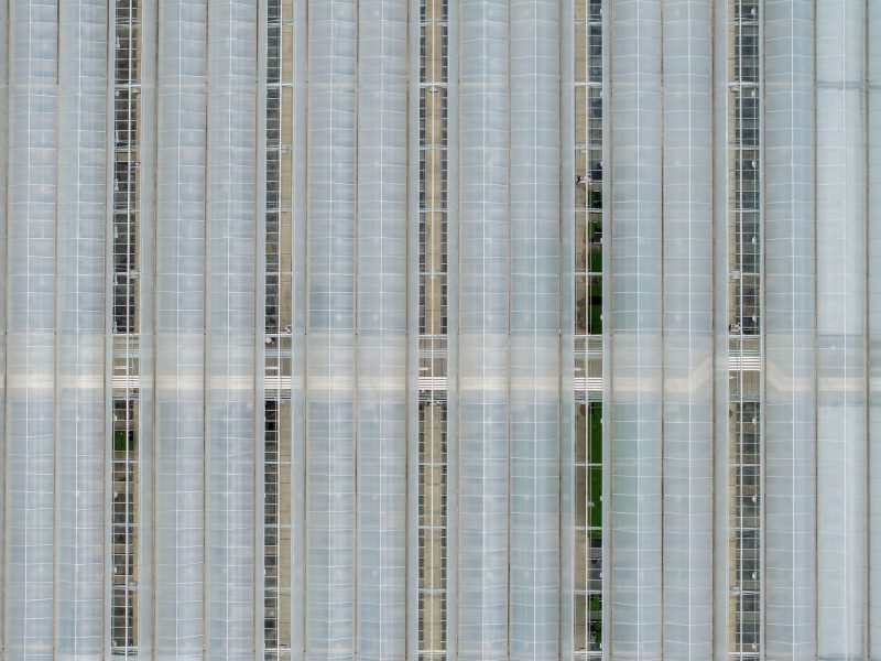 Aerial view of a large greenhouse complex with multiple parallel, translucent roof panels and visible green plants inside. The structure displays a repeating, linear architectural pattern. - Van Wingerden Commercial Greenhouses