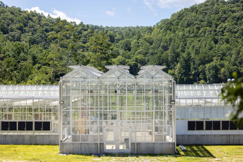 A large, modern greenhouse with glass walls and roof stands in front of a forested hillside under a partly cloudy sky. The structure has multiple sections and a central entrance. - Van Wingerden Commercial Greenhouses