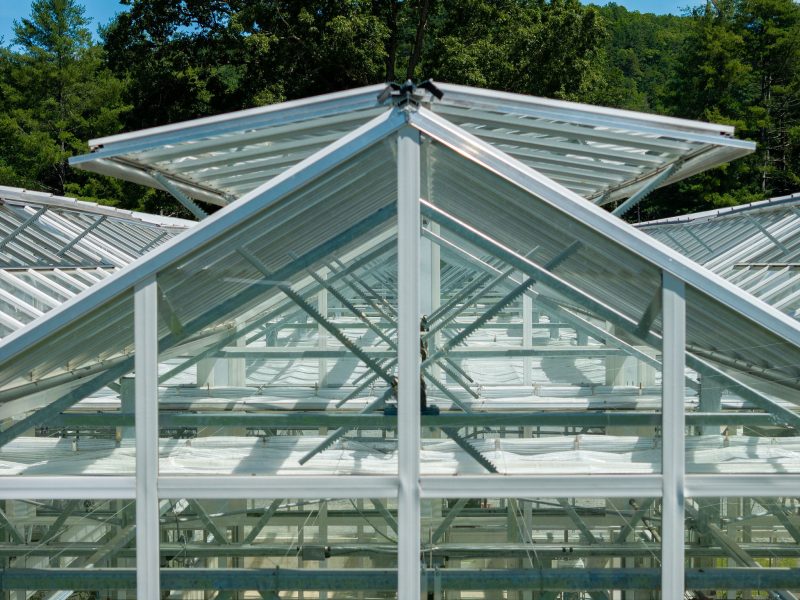 Close-up view of the glass and metal roof of a greenhouse, showing structural beams and open roof vents with trees and greenery visible in the background. - Van Wingerden Commercial Greenhouses