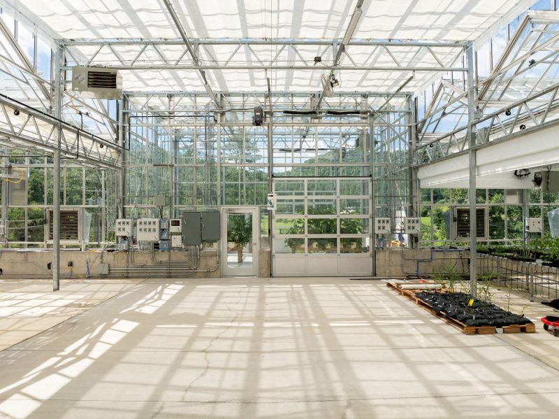 Interior of a large, modern greenhouse with a concrete floor, metal framework, various control panels along the walls, and trays of young plants arranged on the right side. Large windows let in natural light. - Van Wingerden Commercial Greenhouses