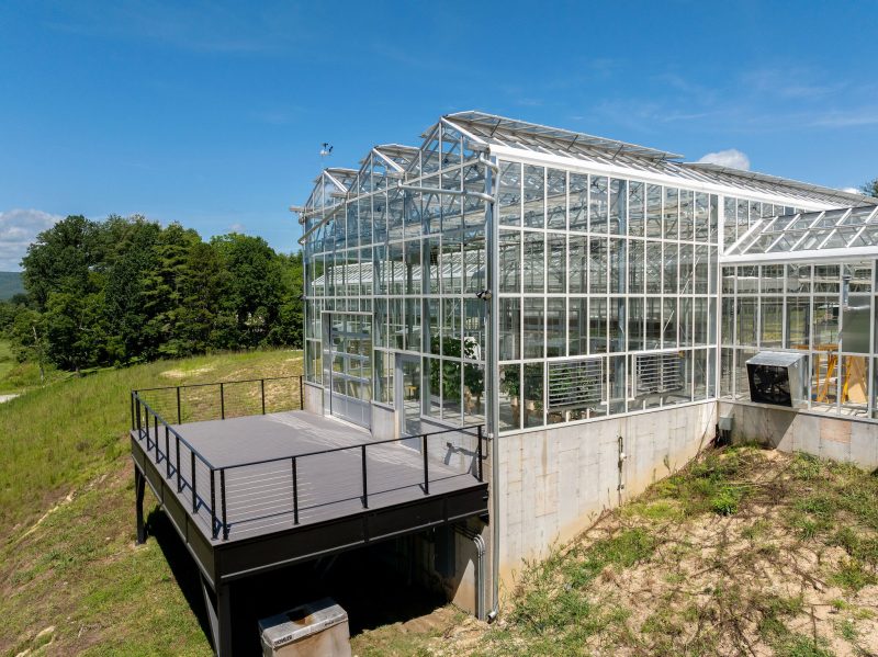 A large modern greenhouse, built by a leading commercial greenhouse manufacturer, features glass walls and a roof on a concrete foundation beside a wooden deck, surrounded by grassy terrain and trees under a clear blue sky. - Van Wingerden Commercial Greenhouses