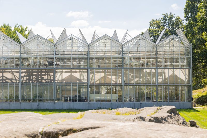 A modern greenhouse with multiple glass peaks and large windows, surrounded by green grass and trees, under a sunny sky. The buildings structure and interior details are visible through the glass walls. - Van Wingerden Commercial Greenhouses