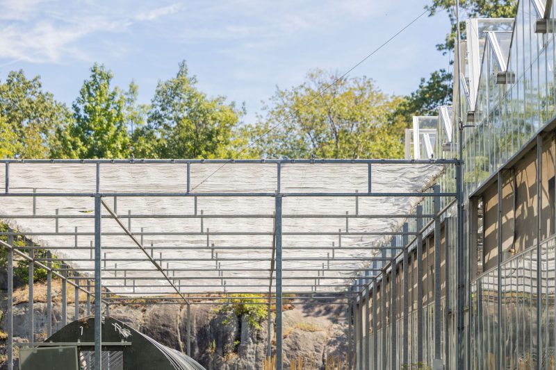 A metal-framed structure with a translucent roof is attached to the side of a glass greenhouse. Trees and rocky terrain are visible in the background under a blue sky. - Van Wingerden Commercial Greenhouses
