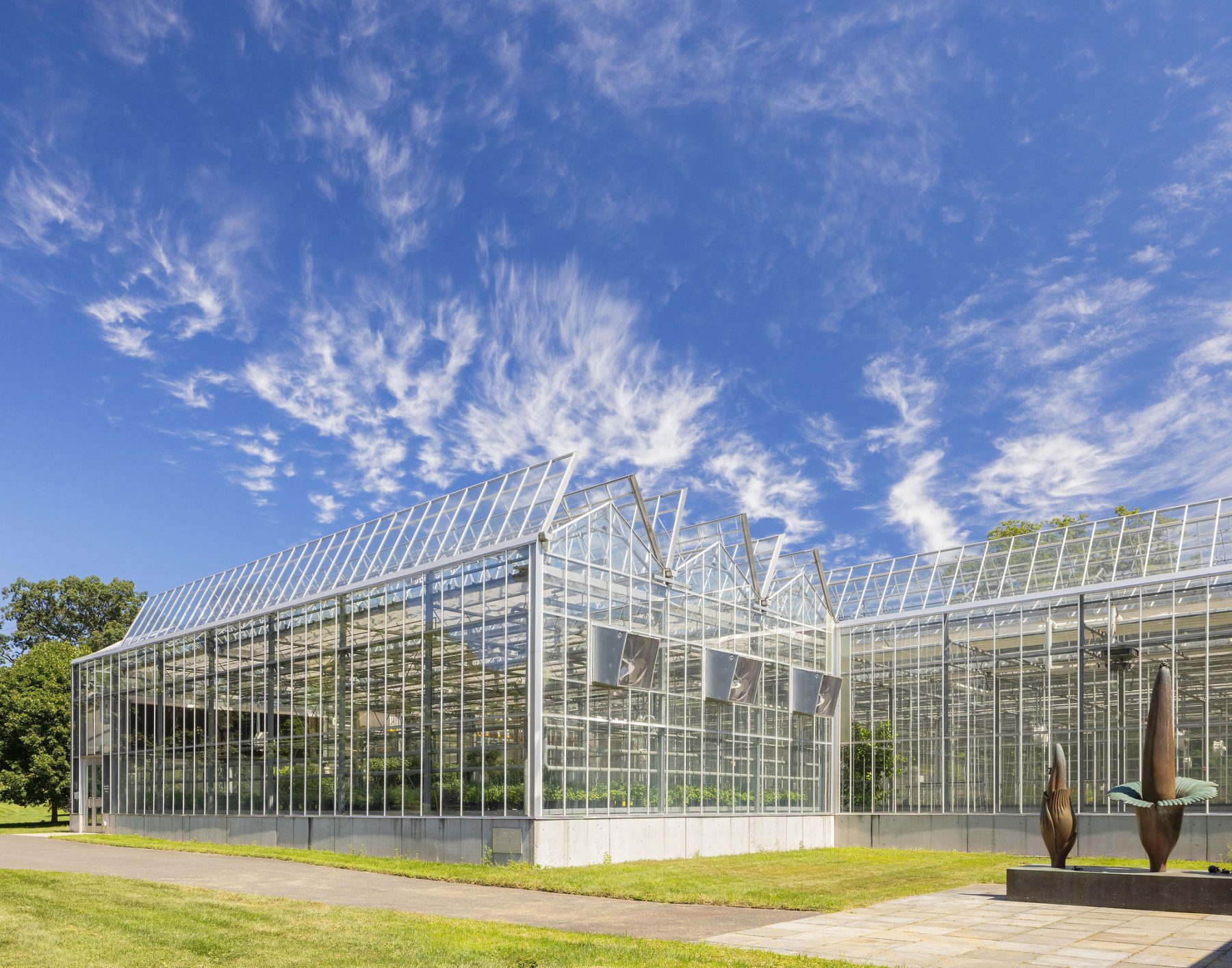 A large greenhouse with glass walls and roof stands on a grassy area under a blue sky with wispy clouds. A metal sculpture is on a paved area in front of the building. Trees are visible in the background. - Van Wingerden Commercial Greenhouses