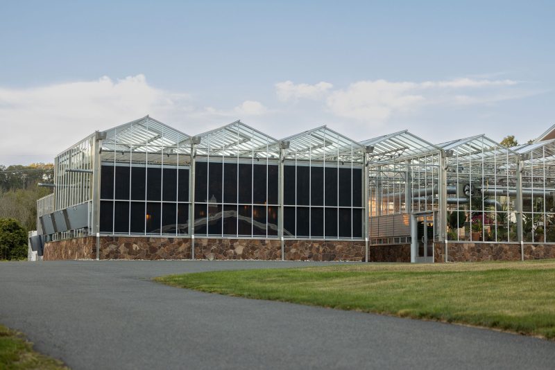 A modern greenhouse with a glass roof and walls sits next to a paved path and a grassy area. The lower section of the building has a stone exterior, and the sky above is mostly clear with a few clouds. - Van Wingerden Commercial Greenhouses