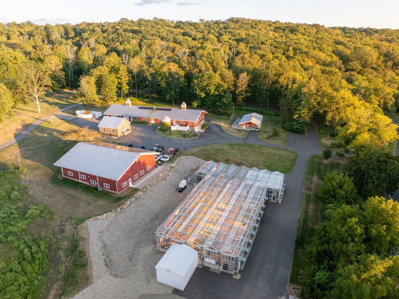 Aerial view of a rural property with several red buildings, greenhouses with transparent roofs, paved roads, and surrounding trees and greenery under clear sky. - Van Wingerden Commercial Greenhouses