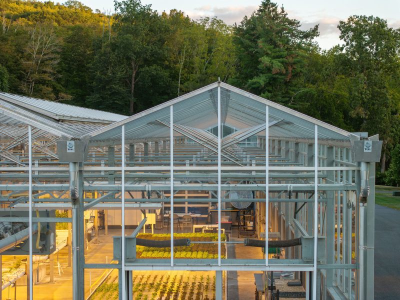 A greenhouse with a glass roof and metal framework contains rows of plants inside. Some of the interior is lit with bright artificial lights, and there are trees and greenery in the background. - Van Wingerden Commercial Greenhouses