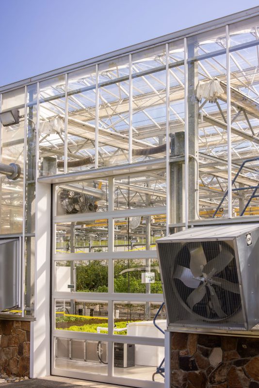 A modern glass greenhouse with an open door, visible ventilation fans, metal framework, and green plants growing inside on a sunny day. - Van Wingerden Commercial Greenhouses
