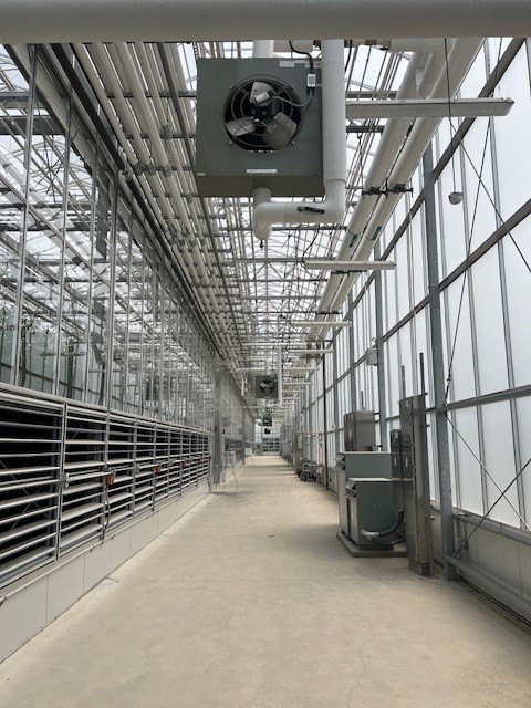 A wide hallway inside a greenhouse, featuring metal railings, ceiling fans, exposed pipes, and large glass windows allowing natural light to fill the space. - Van Wingerden Commercial Greenhouses